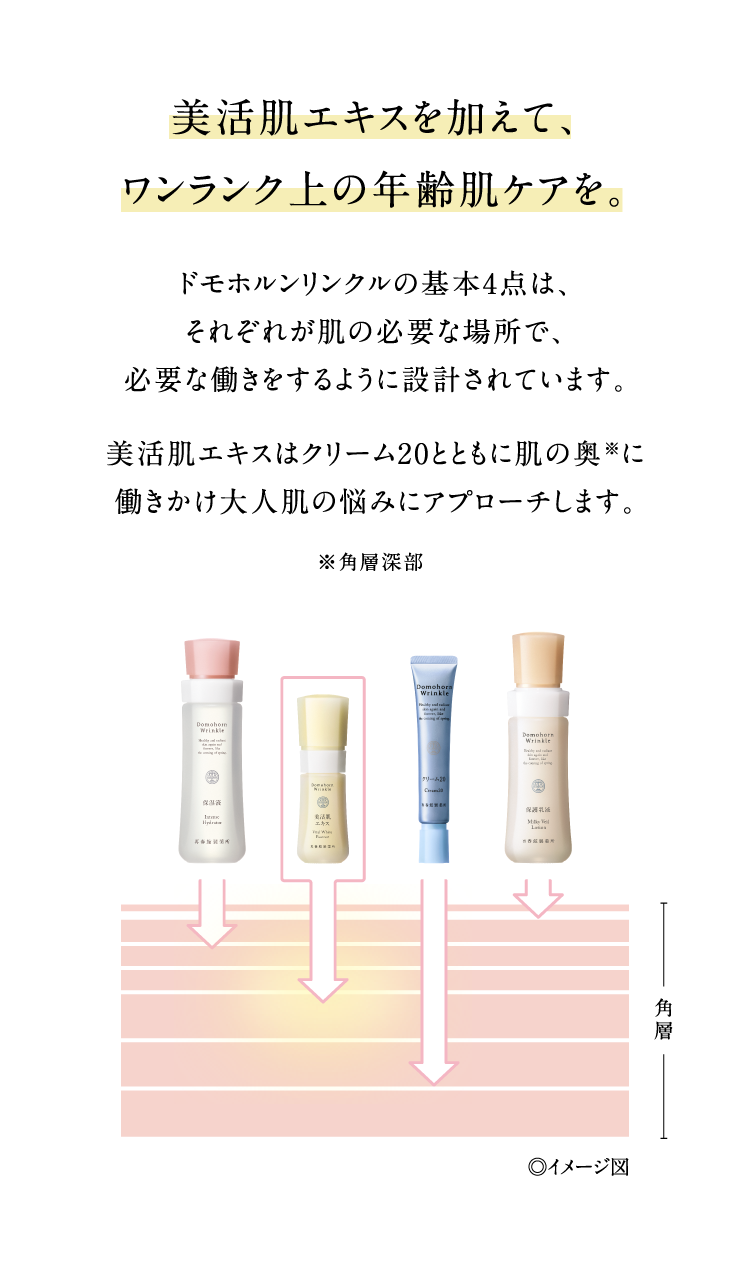 �������G�L�X�������āA���������N��̔N��P�A���B