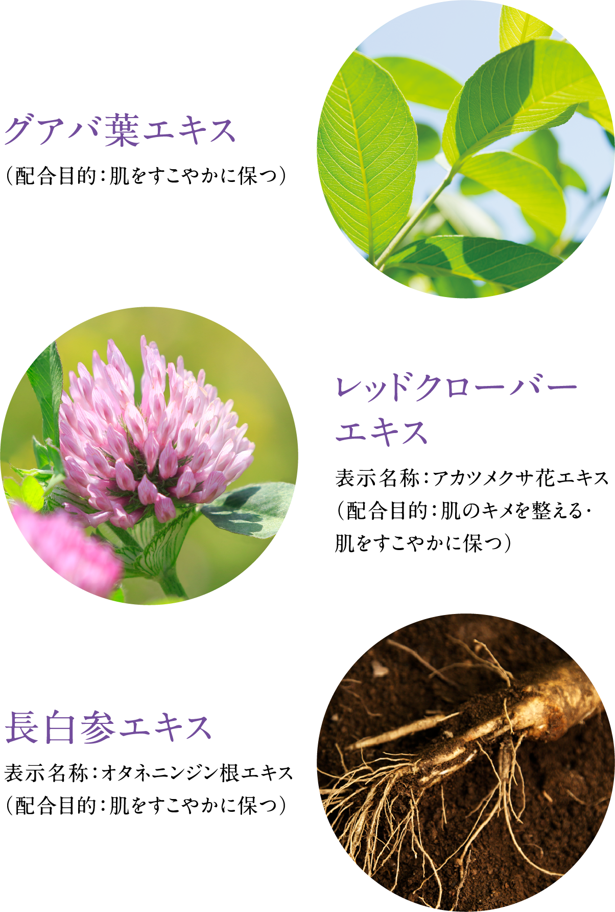 OAotGLXizړIF₩ɕۂjbhN[o[GLX \́FAJcNTԃGLXizړIF̃L𐮂E₩ɕۂjQGLX \́FI^ljWGLXizړIF₩ɕۂj