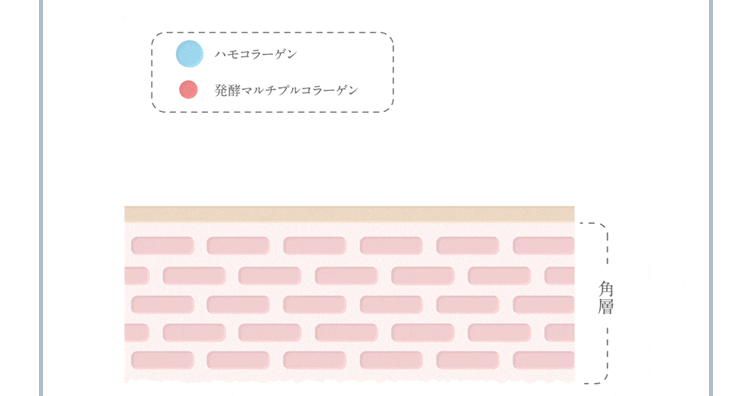 C[W}
