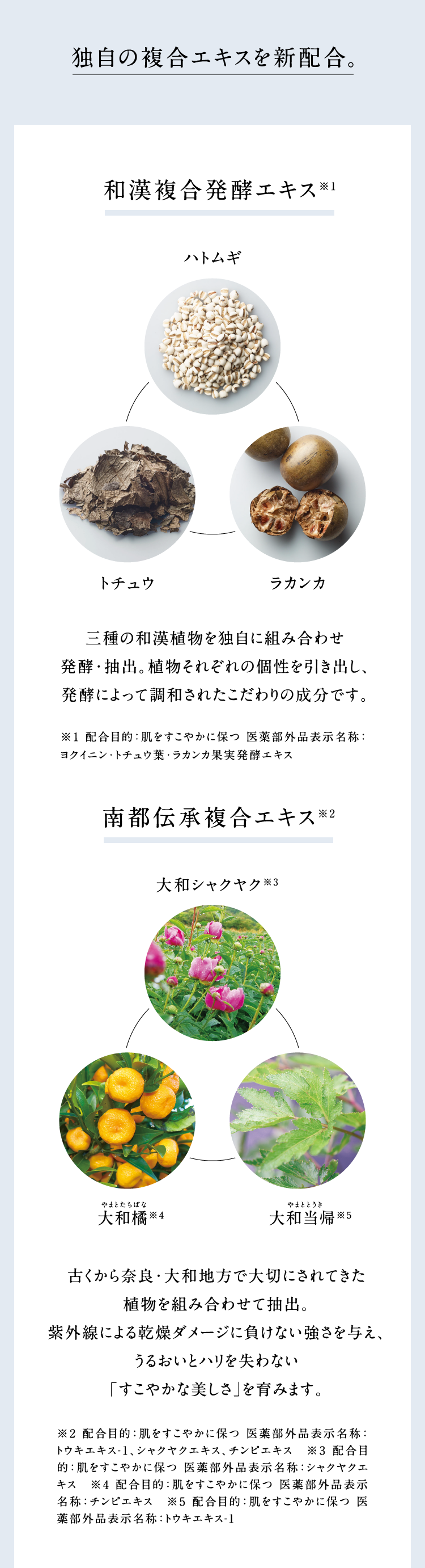 �Ǝ��̕����G�L�X��V�z���B