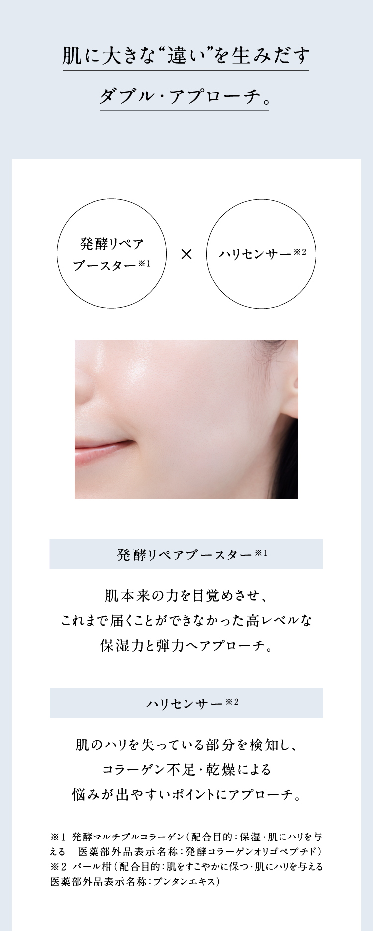 ���ɑ傫�ȁg�Ⴂ�h�𐶂݂����_�u���E�A�v���[�`�B���y���y�A�u�[�X�^�[��1x�n���Z���T�[��2 ���y���y�A�u�[�X�^�[��1 ���{���̗͂�ڊo�߂����A����܂œ͂����Ƃ��ł��Ȃ����������x���ȕێ��͂ƒe�͂փA�v���[�`�B �n���Z���T�[��2 ���̃n���������Ă��镔�������m���A�R���[�Q���s���E�����ɂ��Y�݂��o�₷���|�C���g�ɃA�v���[�`�B ��1 ���y�R���[�Q���I���S�y�v�`�h�i�z���ړI�F�ێ��E���Ƀn����^����j ��2 �p�[�����i�z���ړI�F���������₩�ɕۂE���Ƀn����^���� ��򕔊O�i�\�����́F�u���^���G�L�X�j