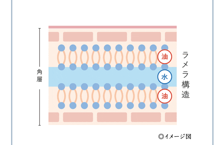 �C���[�W�}