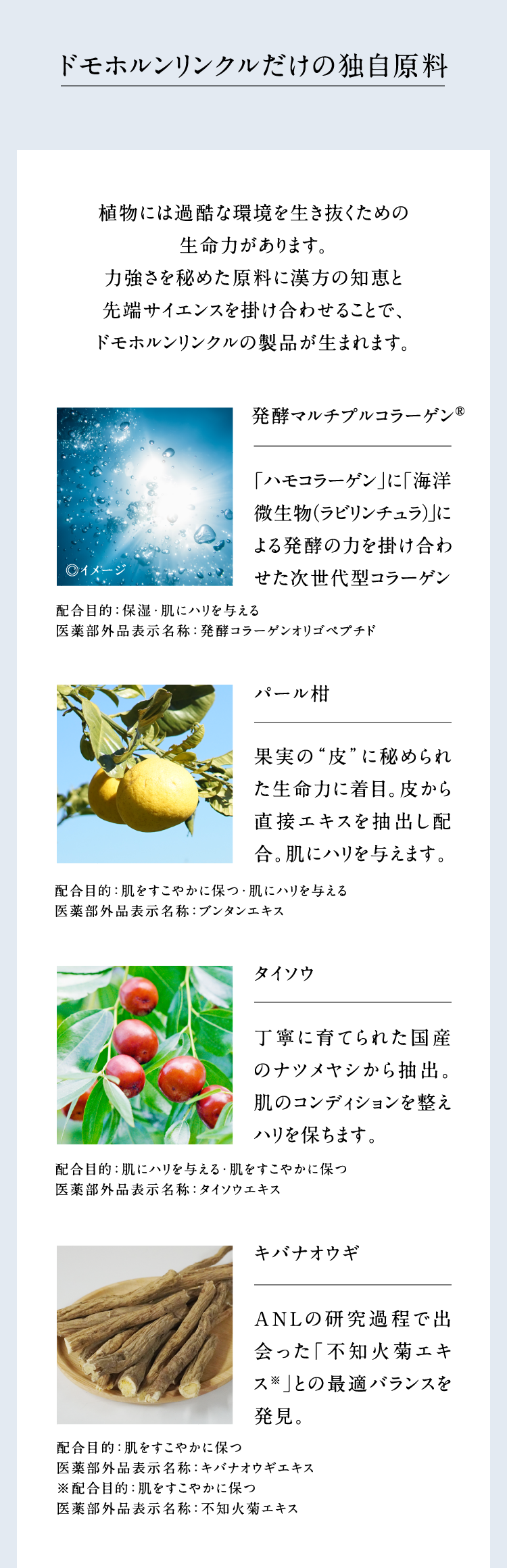 �h���z���������N�������̓Ǝ����� �A���ɂ͉ߍ��Ȋ��𐶂��������߂̐����͂�����܂��B�͋������߂������Ɋ����̒m�b�Ɛ�[�T�C�G���X���|�����킹�邱�ƂŁA�h���z���������N���̐��i�����܂�܂��B