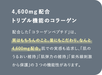 4600mgz gv@\̃R[Q