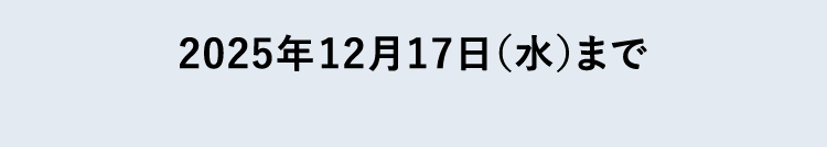 2025N1217ij܂