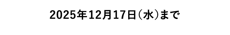 2025N1217ij܂