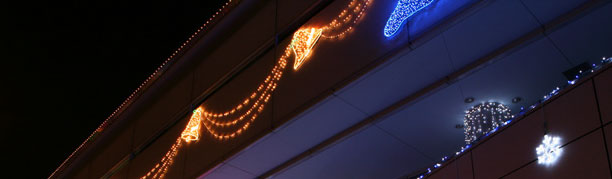 2006C~l[V摜2433_1