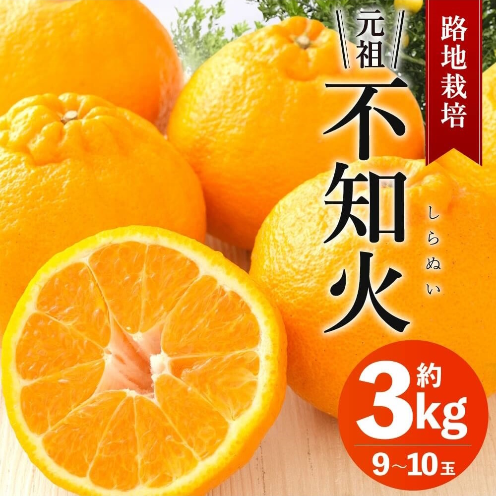 Hn͔| csm 3kg