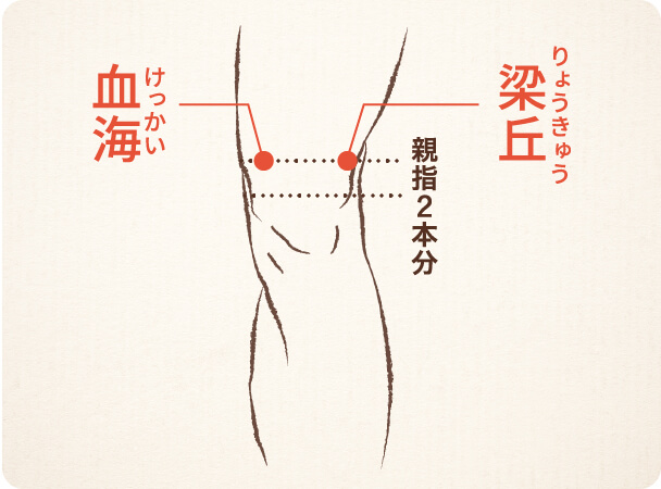 変形性膝関節症などに効くツボ 痛散湯 漢方の再春館製薬所