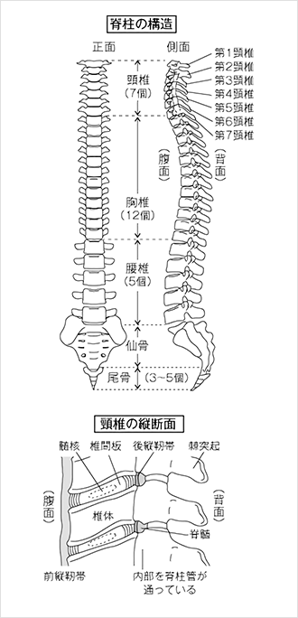 首の痛み 神経痛 痛散湯 漢方の再春館製薬所