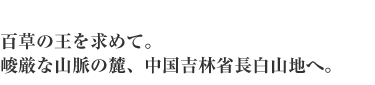 百草の王を求めて。
峻厳な山脈の麓、中国吉林省長白山地へ。