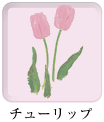 チューリップ
