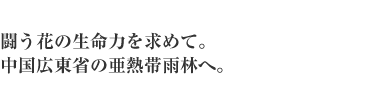 闘う花の生命力を求めて。
中国広東省の亜熱帯雨林へ。