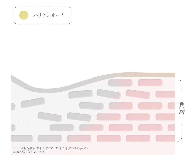 ハリセンサーのイメージ図