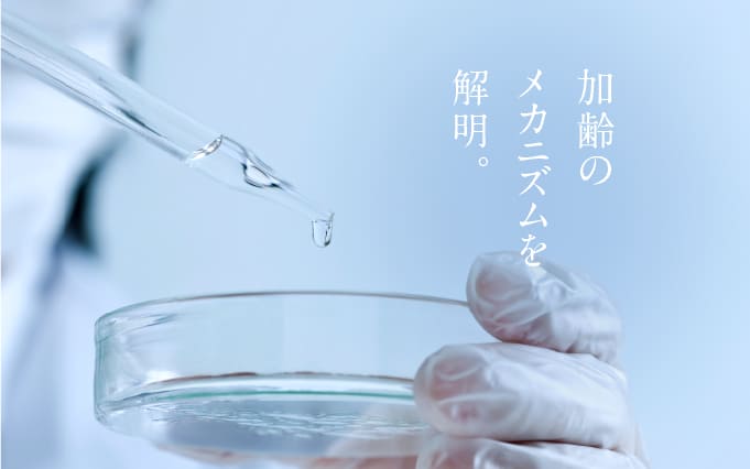 加齢のメカニズムを解明。