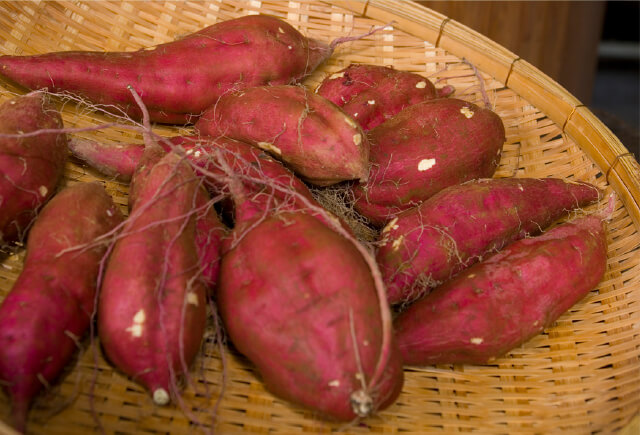 野馬追エキスイメージ