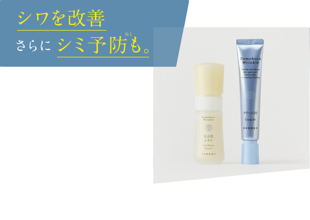 シワを改善 さらにシミ予防も